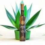 Who is the target audience for Golden Spiral Ice 2011?