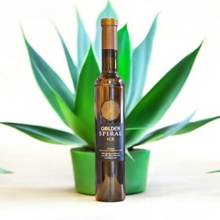 Who is the target audience for Golden Spiral Ice 2011?