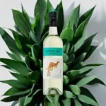 มีข้อดีข้อเสียอะไรบ้างในการเลือกดื่ม Yellow Tail Moscato?