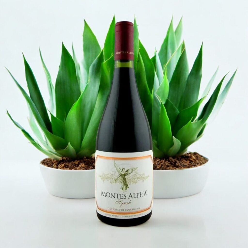 ไวน์ Syrah มีประโยชน์ต่อสุขภาพหรือไม่?