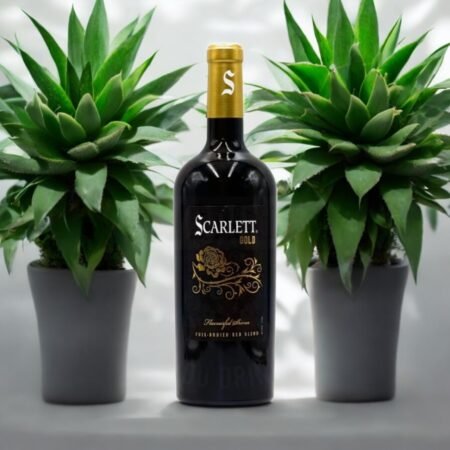 Lamothe Parrot Scarlett Gold เหมาะสำหรับโอกาสไหนบ้าง?