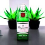 วิธีการเลือกซื้อ Tanqueray Dry Gin ที่ดีคืออะไร?
