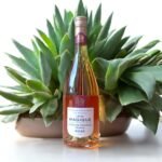 ไวน์ Rosé นี้มีรสชาติที่เหมาะกับผู้ที่ไม่ชอบไวน์หรือไม่?