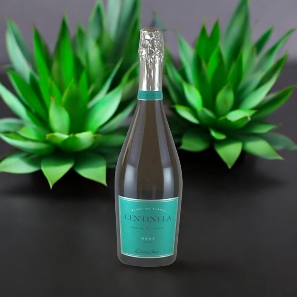 ไวน์ที่เหมาะกับการดื่มในฤดูร้อนคืออะไร?