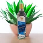 อาหารพื้นเมืองที่ควรลองเมื่อไปล่องน่านมีอะไรบ้าง?