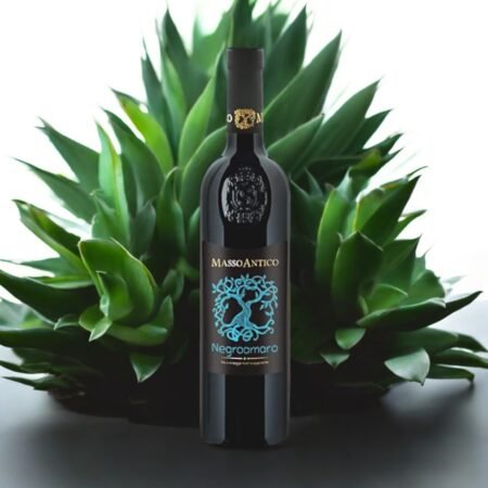 Masso Antico Negroamaro แตกต่างจากไวน์ Negroamaro อื่น ๆ อย่างไร?