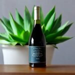 สามารถหาซื้อ Cono Sur Reserva Especial Syrah ได้ที่ไหนบ้าง?