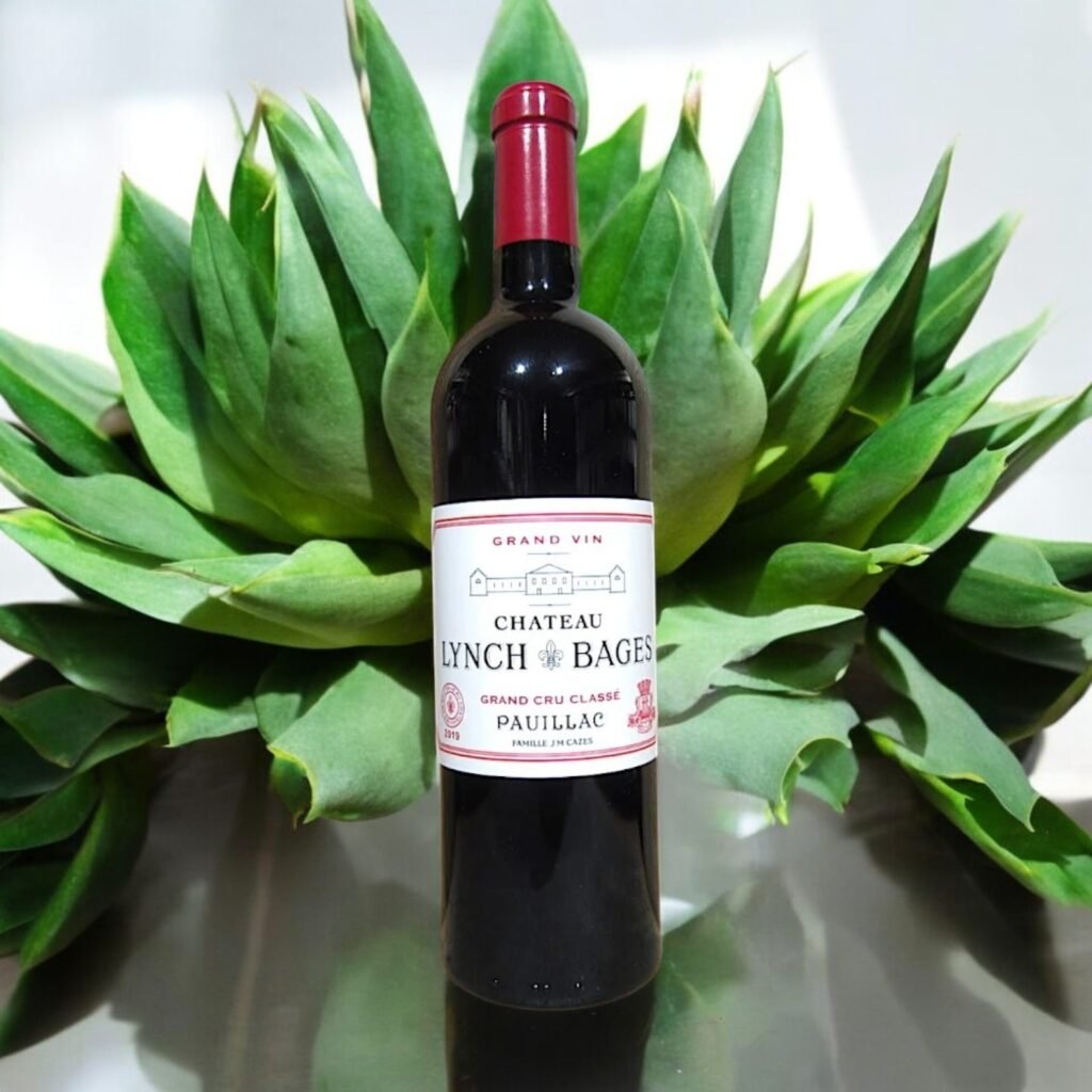 เหตุการณ์สำคัญที่เกิดขึ้นในปี 2019 มีอะไรบ้าง?