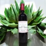 เหตุการณ์สำคัญที่เกิดขึ้นในปี 2019 มีอะไรบ้าง?