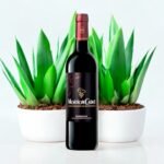 ไวน์ Mouton Cadet Bordeaux 2019 เหมาะสำหรับผู้เริ่มต้นหรือไม่?