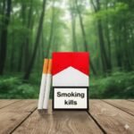 ซองบุหรี่ Marlboro Red สีแดงขาว และมวนบุหรี่ก้นกรองสีส้ม วางบนโต๊ะไม้ฉากหลังเป็นป่าสีเขียว