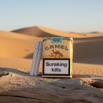 ซองบุหรี่ Camel Non-Filter สีเหลืองคลาสสิก วางบนขอนไม้กลางทะเลทราย แสงแดดสีทอง